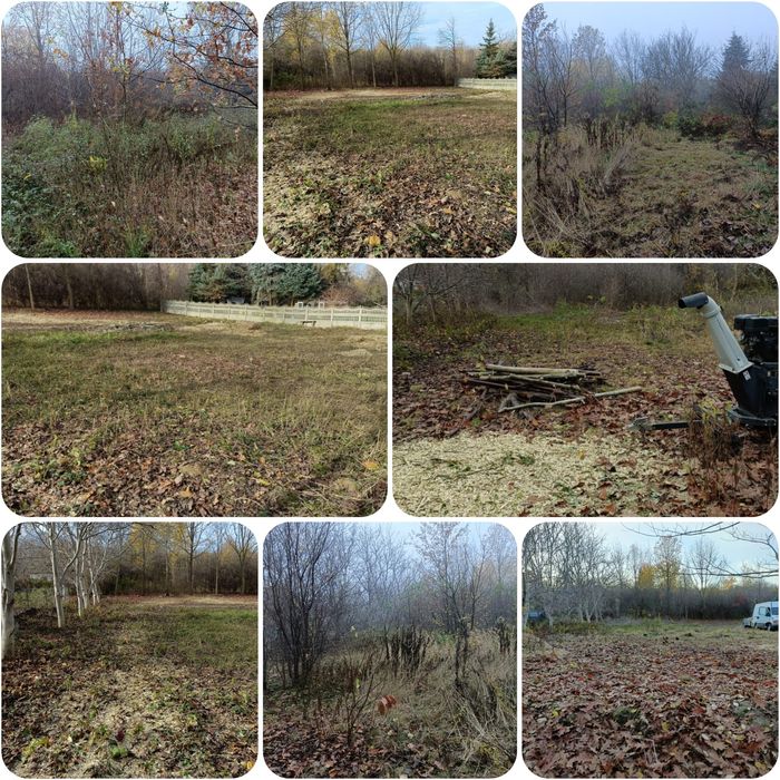 Wywóz Śmieci, Utylizacja Mebli, Wycinka Drzew, Karczowanie Działek