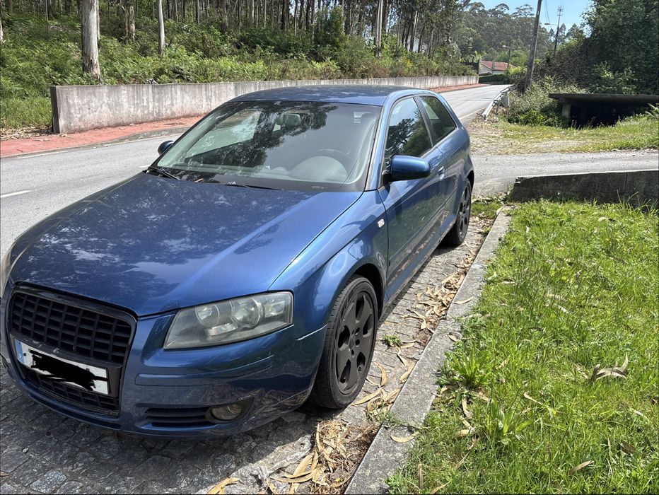 Audi A3 8P 2.0 TDI