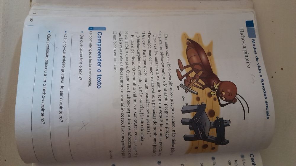 Pirilampo 2 - Língua portuguesa