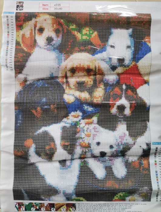 Diamond Painting Canvases to Be Completed (Various, See Photos)64729679222915124