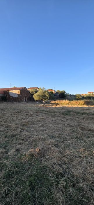 Terreno com 6.000 m² para venda – Excelente oportunidade Eivados/Mirandela