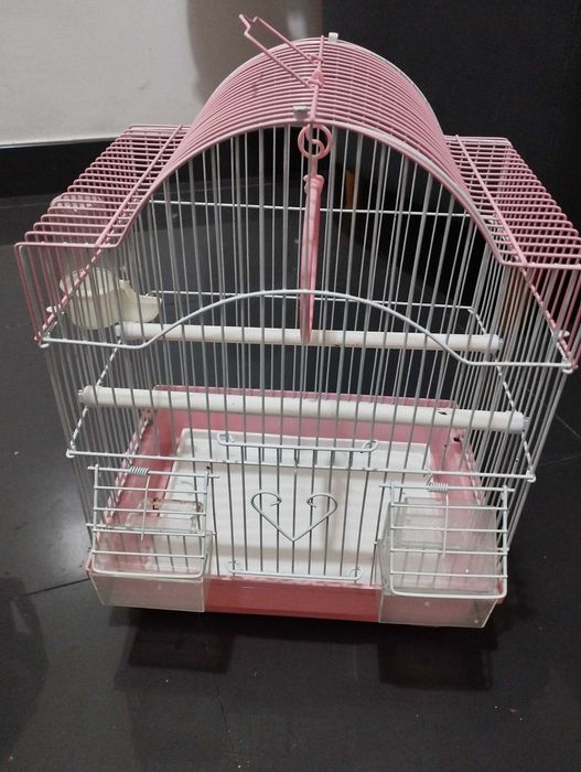Gaiola com bebedouro