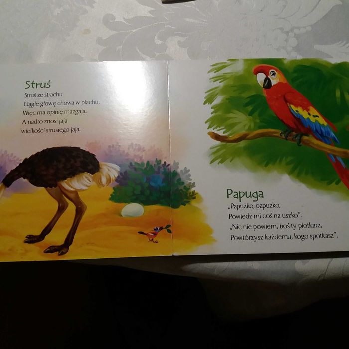 Książki dla dzieci