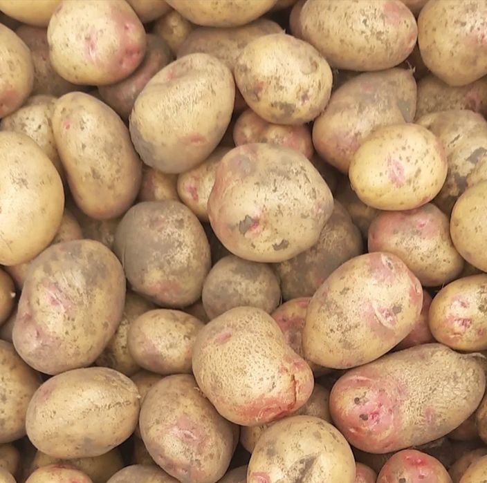 Продаєця картопля