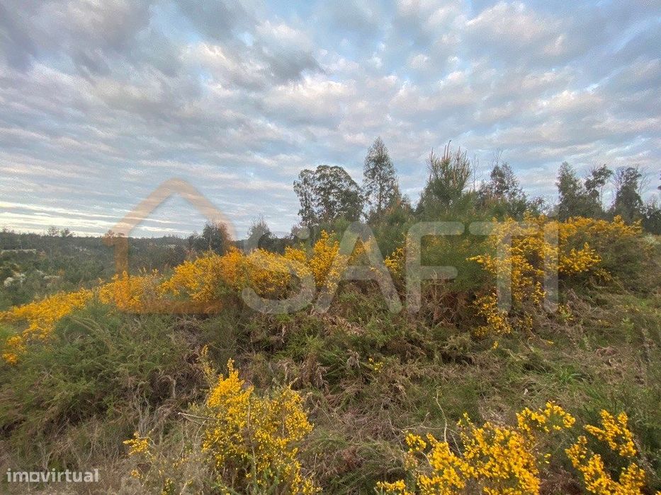 Vende Terreno na EM 624 2910 m2 45 000€ Lajeosa Tondela — Lajeosa do Dão, Viseu