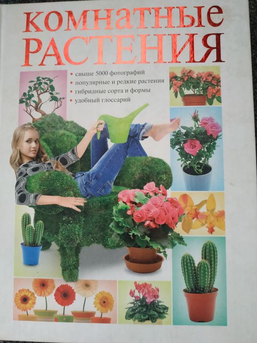 Книга  Кімнатні рослини