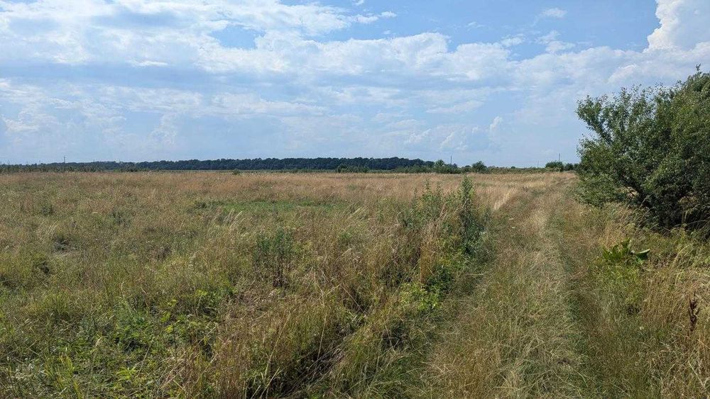 Продається ділянка 25 сот під будову с.Камінне(12)