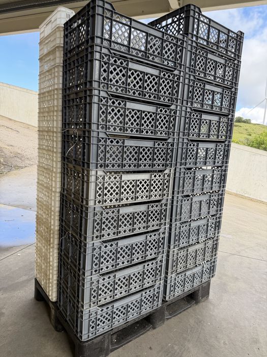 Caixas plastico 60 x 40