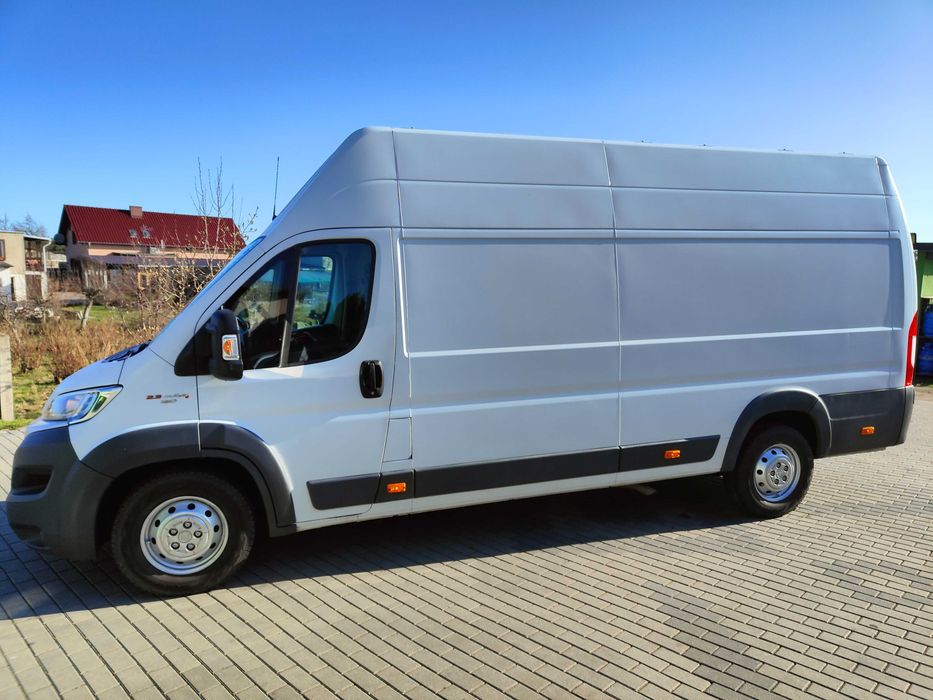 Bus na wynajem, wynajem busa, furgon, blaszak, Fiat Ducato Maxi.
