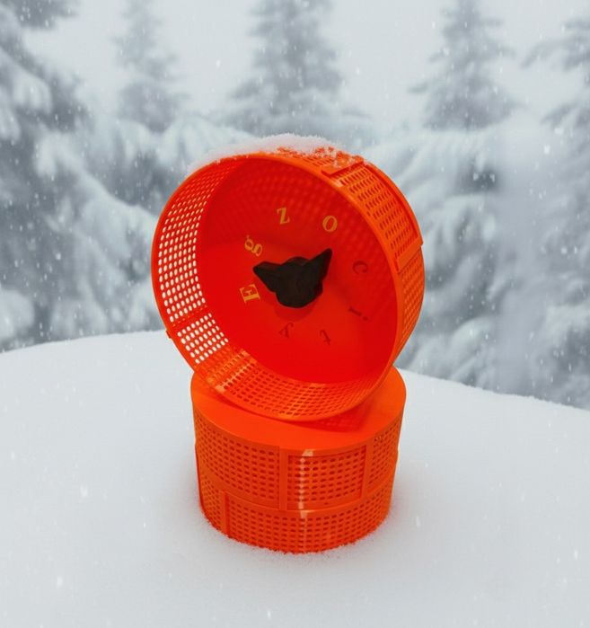 Lotopałanka karłowata kołowrotek 30 cm