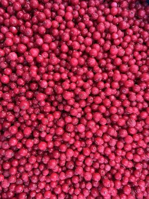 Maliny mrożone. Dostawa / WYSYŁKA