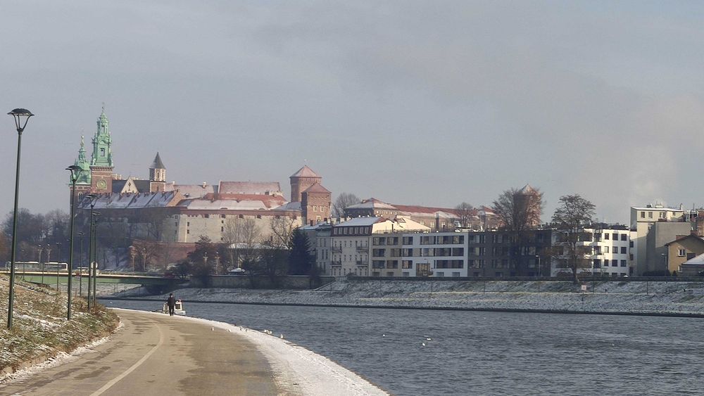 Zdjęcie 7