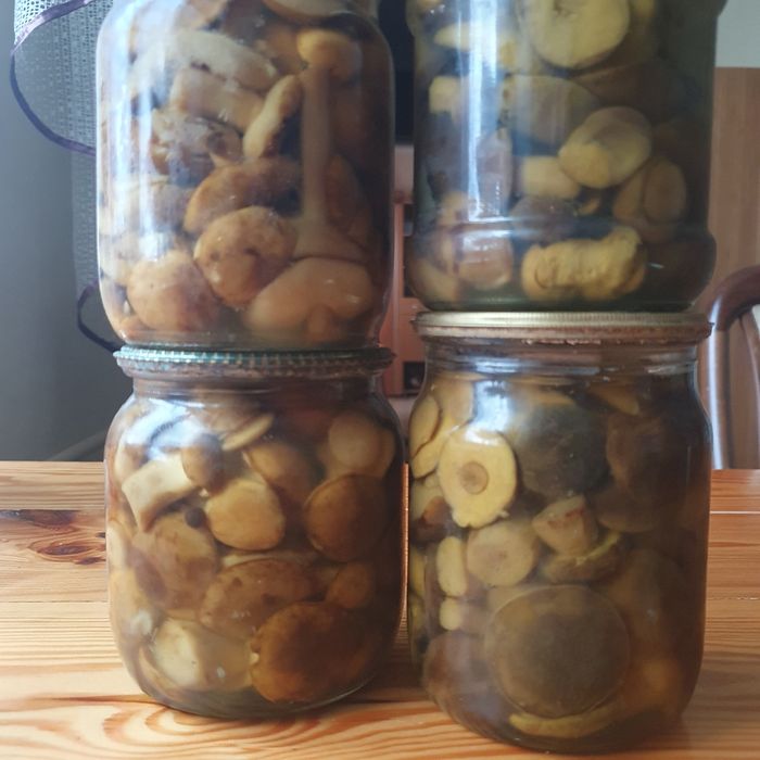Гриби мариновані. Польський.