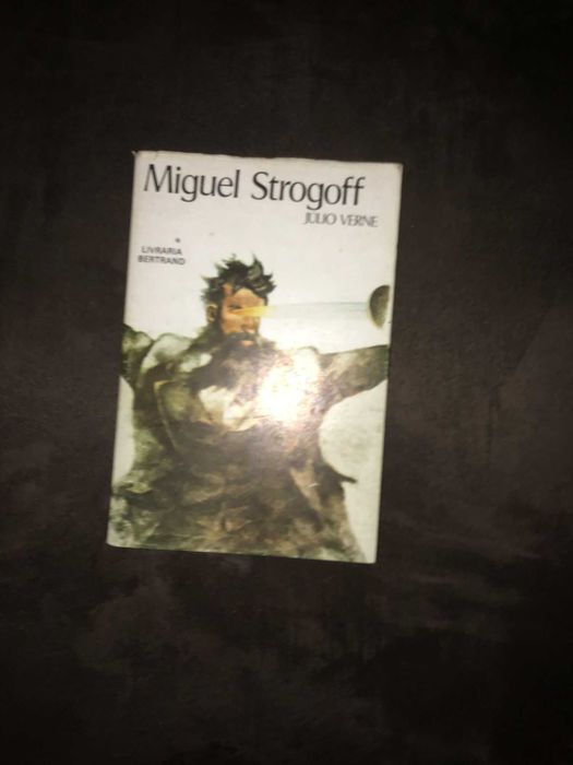 livro miguel strogoff julio verde