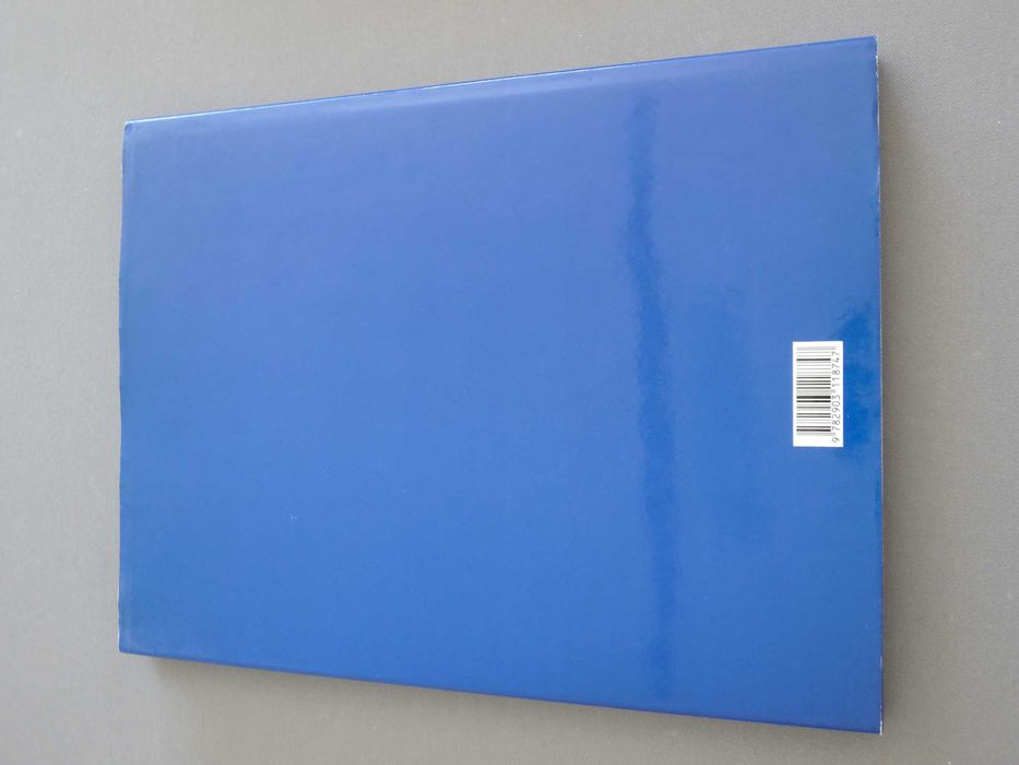 Livro Azulejos em Lisboa - A Luz duma Cidade