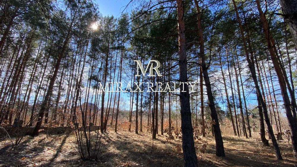 Продажа участка 16.5 сот лес Днепр Дамба Конча-Заспа