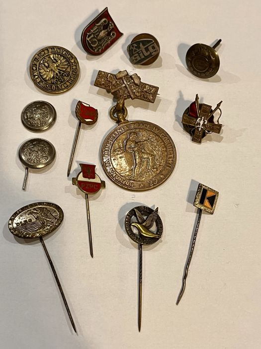 Odznaczenia i przypinki