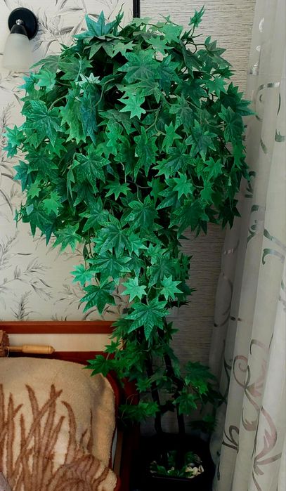 Продам 2 искусственных дерева