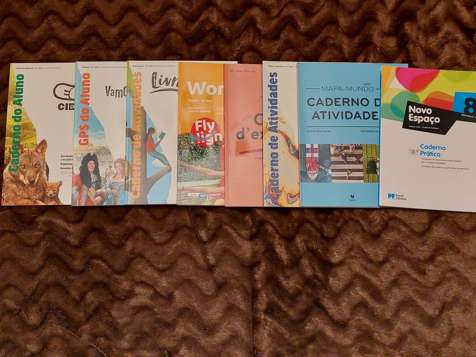 Cadernos de atividades do 5,6,7,8,9,10 ano (usados)