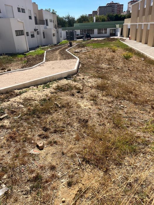 Manutenção de Jardins e Corte de Relva | Cascais Oeiras Sintra