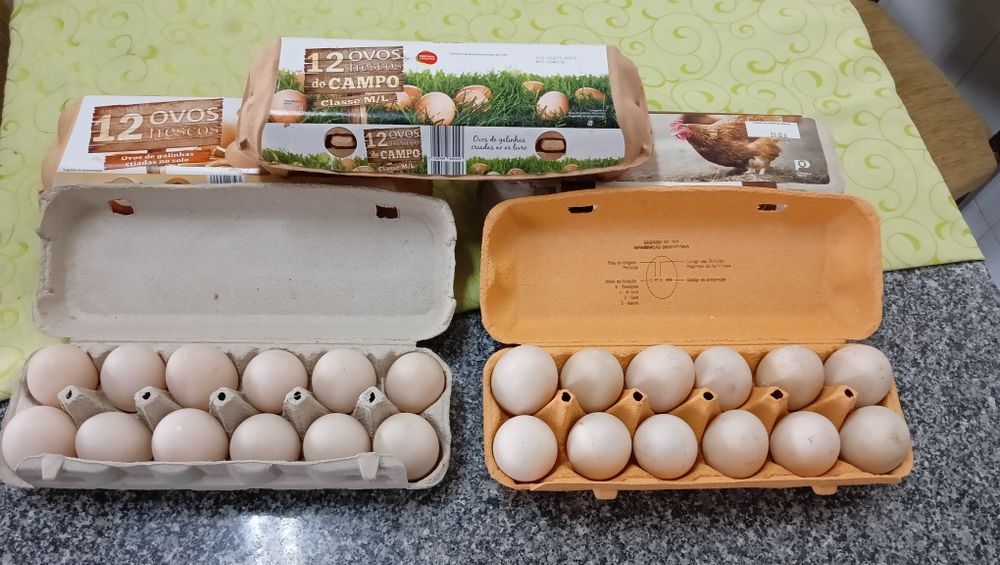 Vendo ovos de pata  biológicos