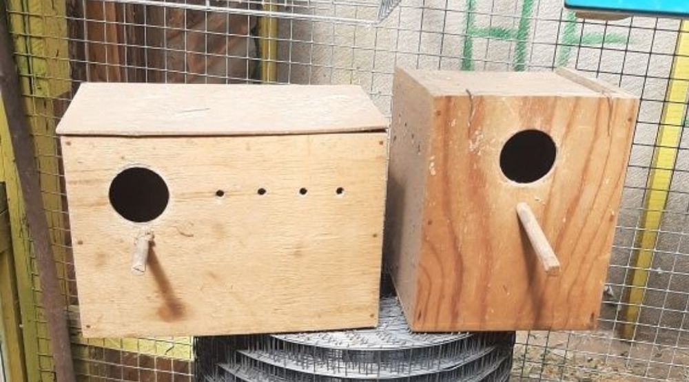 Дуплянка, гнездо, переноска, кормушки, качель для попугаев, птиц