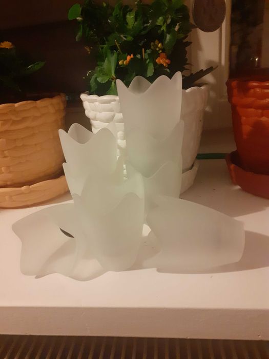 klosze szklane do żarówek L14