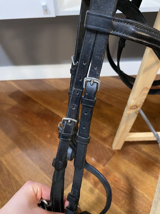 Oglowie anatomiczne waldchausen full