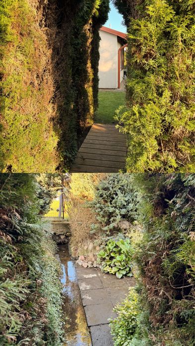 Działka rekreacyjna ROD „Radości”