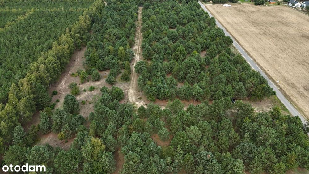 Działki budowlane pośród jezior i lasów - Widok 2