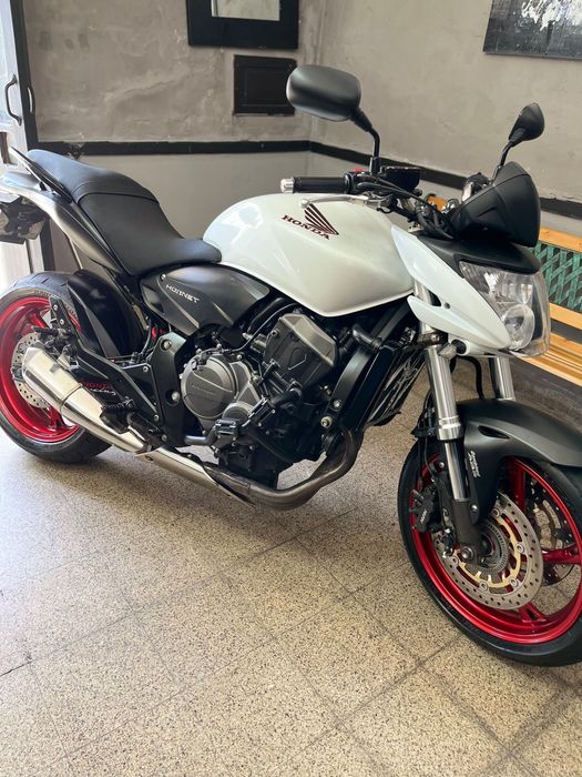 Honda Hornet  IMPECAVEL !!!