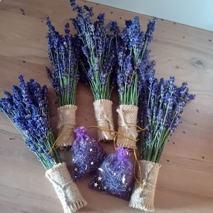 Bukiet suszonej lawendy dekoracja aromaterapia piękna.