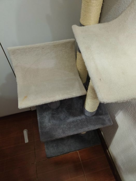 Arranhador gatos