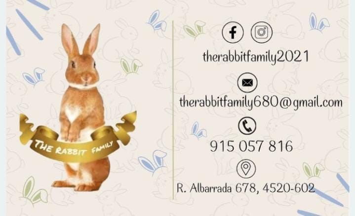 Coelhos anões entregas, acessórios, alimentação e rotas