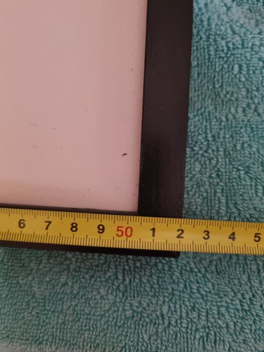 Quadro preto e branco Zebra