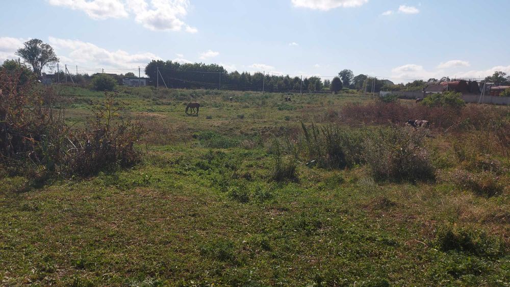Земельна ділянка під забудову м. Чуднів