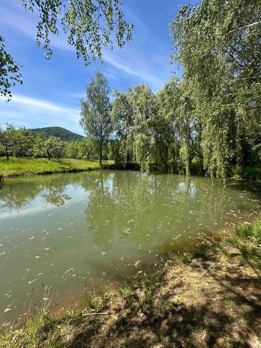 Продається земельна ділянка в с. Ракош