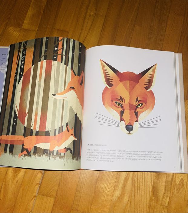 Galeria dzikich zwierząt PÓŁNOC Dieter Braun nowa