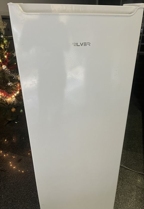 Arca Congeladora Vertical Silver