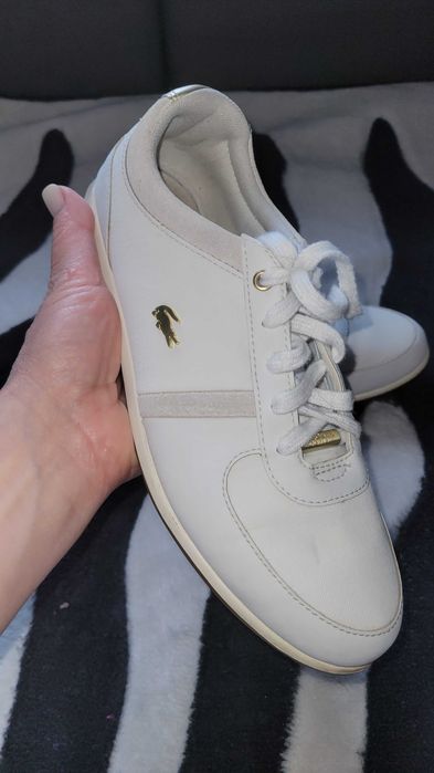 Oryginalny Lacoste rozmiar 36-37.