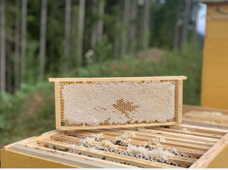 Гірський Мед з малини та ожини,соти