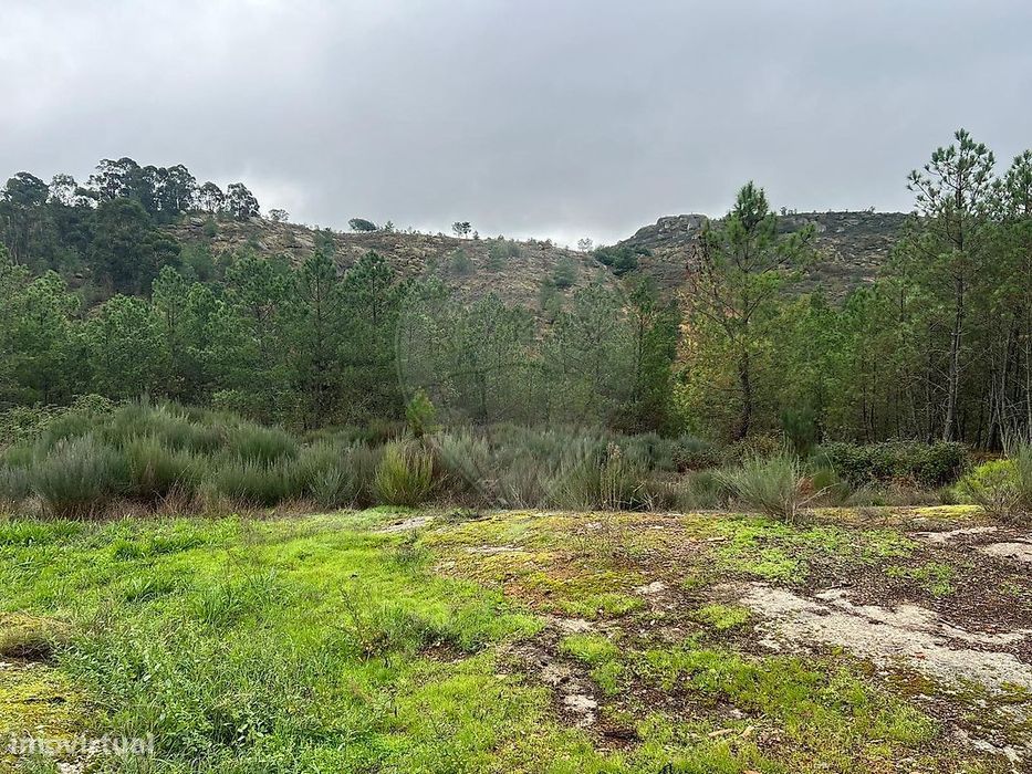 Terreno  para venda — Fornos de Algodres, Guarda