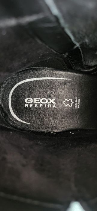 Botins em pele genuína GEOX novos com etiqueta