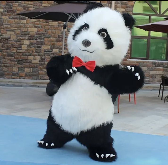 Miś Panda Show żywa maskotka! Atrakcja na urodziny, komunie, wesela