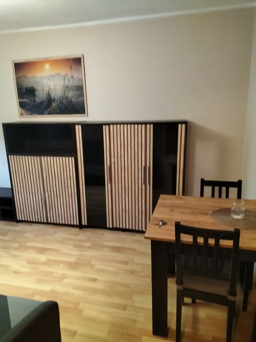 Do wynajęcia kawalerka na Teofilowie