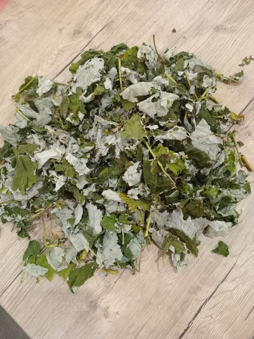 Продам верхушки побегов малины от простуды