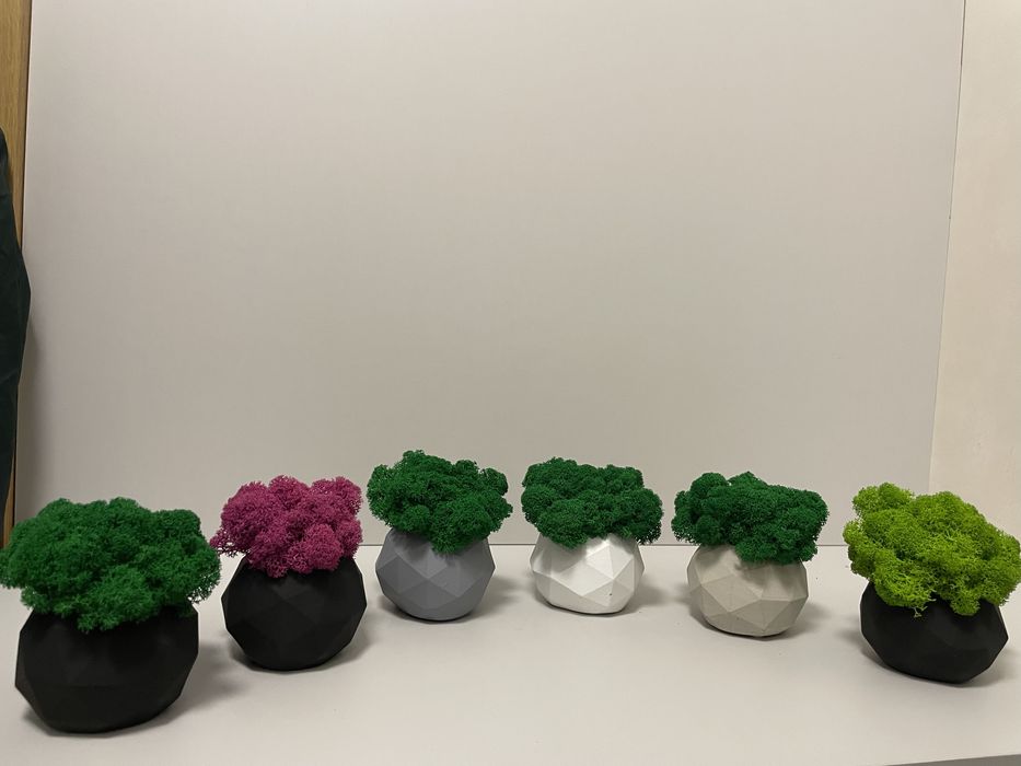 Doniczka betonowa z chrobotkiem