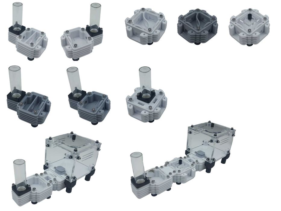 Модульний формікарій, мурашина ферма