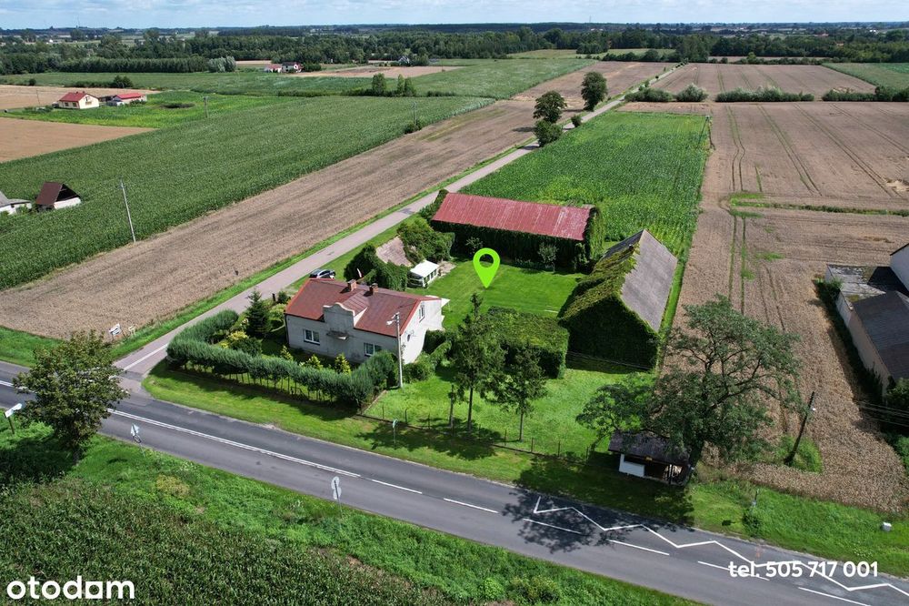 Siedlisko (dom+budynki gos.), 1 ha ziemi na Kujawach, blisko jeziora - Widok 4
