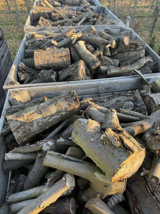 Drewno sliwowe na opal do kominka na wedzenie drzewo sliwka